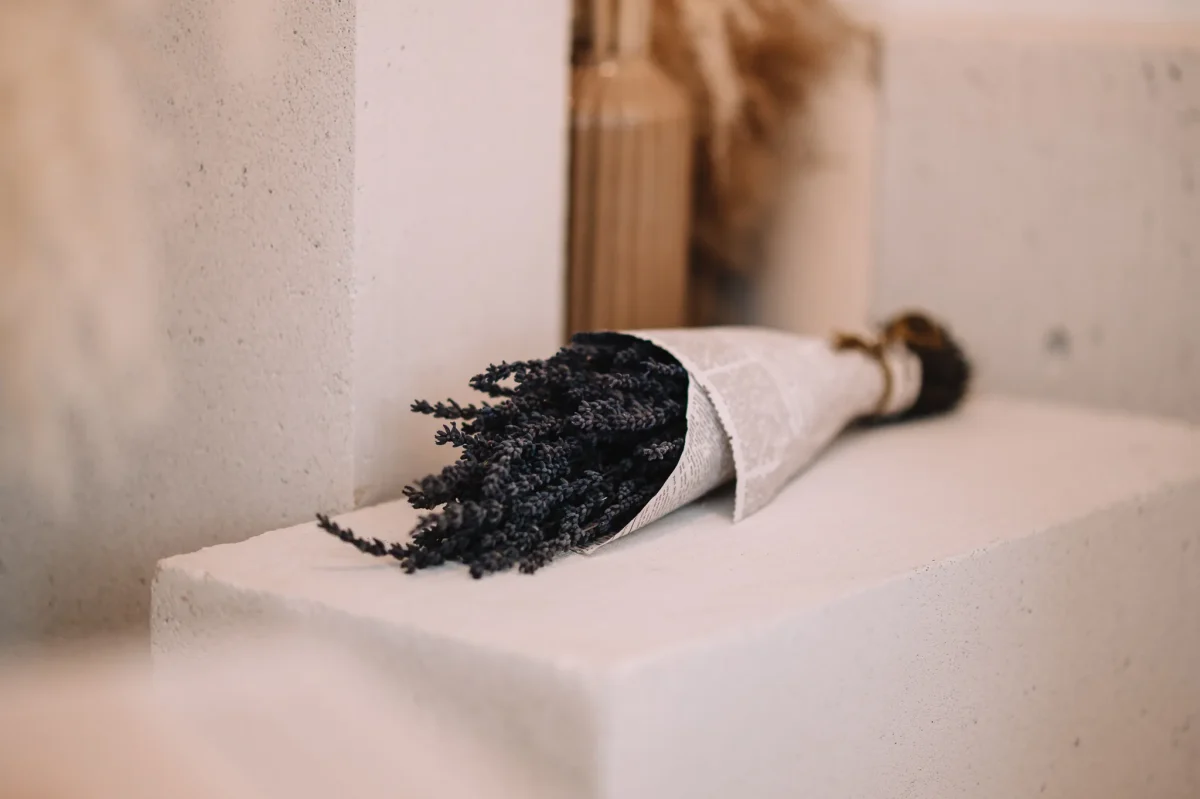 Minimalistė studio