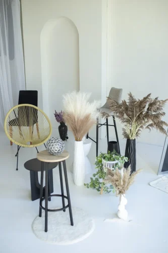 dienos-sviesos-Fotostudijos-nuoma-klaipedoje-13