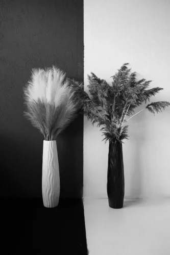 dienos-sviesos-Fotostudijos-nuoma-klaipedoje-21