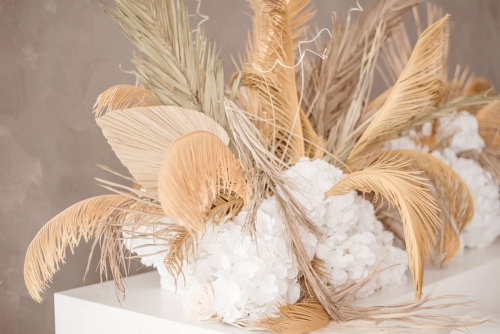 Fotostudija COZY Studio kaunas