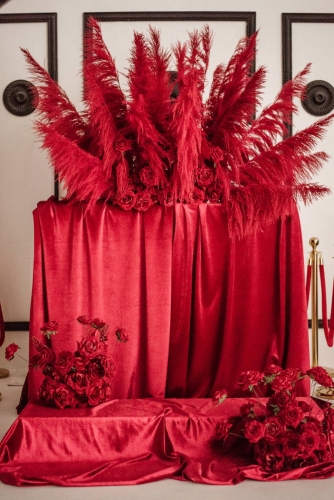 Fotostudija COZY Studio kaunas