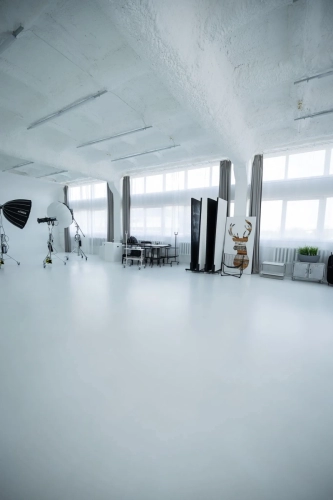 Faina Studija Fotostudijos-nuoma kaune12-–-kopija-2