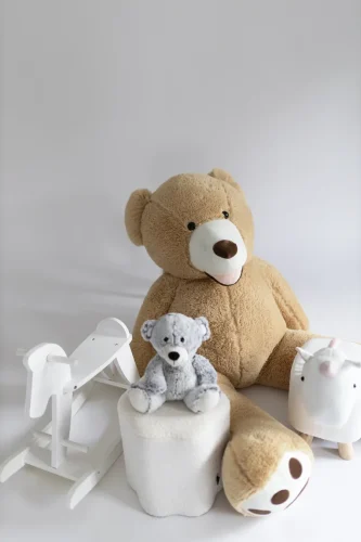 Fotosesijoms filmavimams turinio kurimui fotostudija.IG Raseiniuose