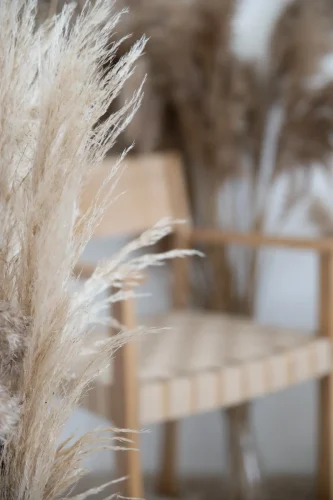 NARSI-studio-fotostudija-Siauliuose-13