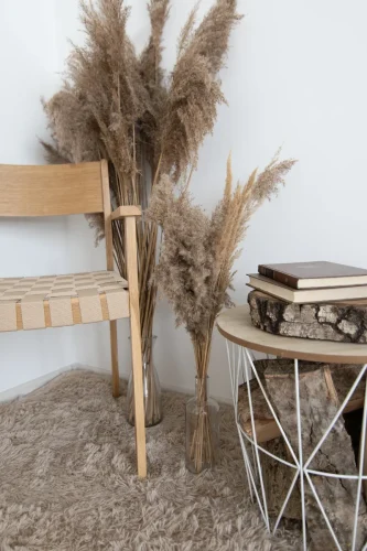 NARSI-studio-fotostudija-Siauliuose-6