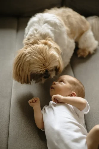 Ilona-Jadzeviciene-Zalia-photography-Seimu-fotografe-Klaipedoje-6